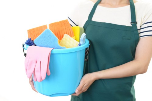 Cleaners W2 introduction showing a professional cleaning service concept