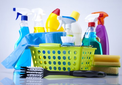 Professional move in cleaning for a W2 flat interior