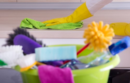 Employee cleaner representing a stable W-2 arrangement
