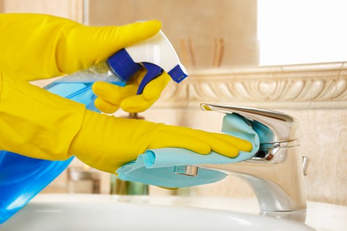 Regular domestic cleaning service in W2 for kitchens and living areas