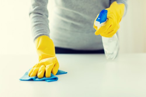 Customer reviewing cleaning service details and access information