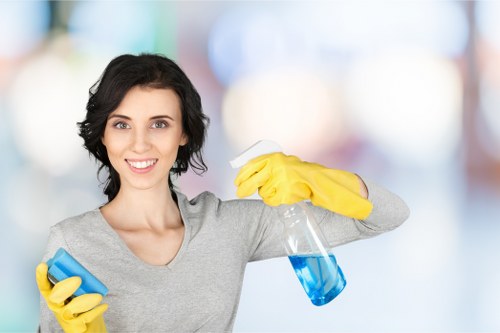 Detailed bathroom move in cleaning in a W2 property