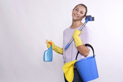 Cleaner and healthier home environment with domestic cleaning in W2