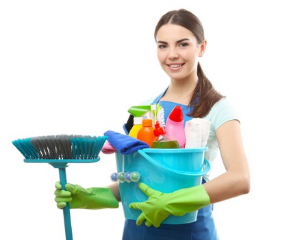 Experienced cleaners in W2 dusting and vacuuming a modern home