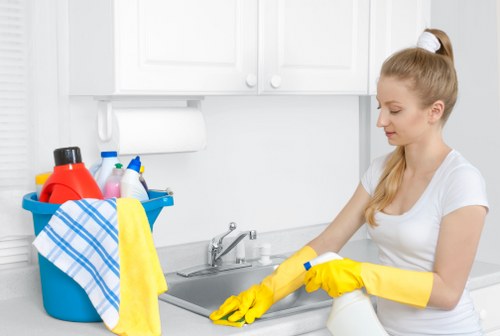 W2 domestic cleaning service preparing a clean kitchen and surfaces