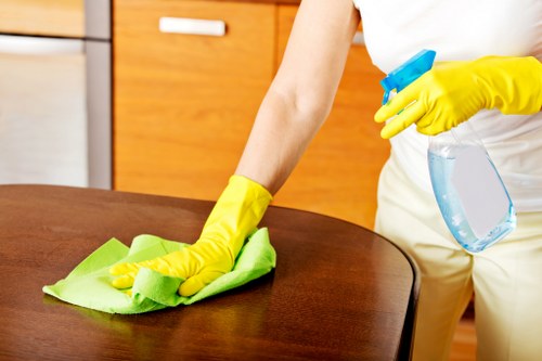 Deep bathroom cleaning in a W2 property